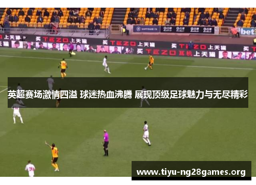 英超赛场激情四溢 球迷热血沸腾 展现顶级足球魅力与无尽精彩