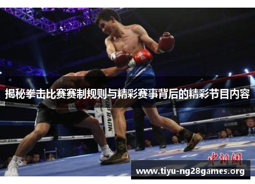 揭秘拳击比赛赛制规则与精彩赛事背后的精彩节目内容