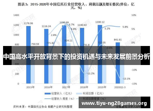 中国高水平开放背景下的投资机遇与未来发展前景分析
