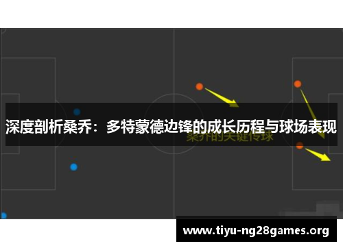 深度剖析桑乔：多特蒙德边锋的成长历程与球场表现