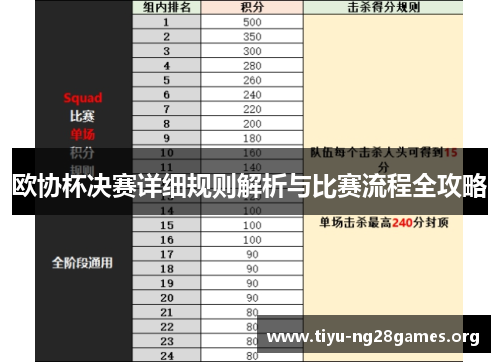 欧协杯决赛详细规则解析与比赛流程全攻略